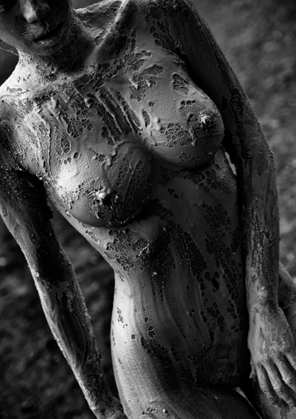 Carousel Image number 8